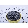 black kidney beans with good price