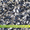 Orgainc Split Black Kidney Beans 2013 New Crop