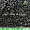 2015 crop M C grade small black kidney beans
