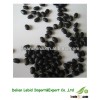 New Arrival China Cooking Black Kidney Beans