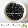 Black Kidney Beans Factory, Good Price