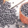 China good quality black kidney bean black speckled beans