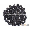 Best Quality Big Black Beans(GF2)