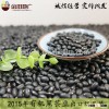 Good Manufacture Of Black Kidney Bean 2015 Corp