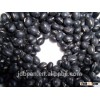 food grade Big Black Beans / black soya bean/ black soybean yellow kernel