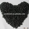 black kidney beans small size heilongjiang