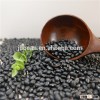 Black kidney beans with good quality