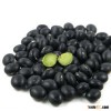 new crop best quality green kernel black bean