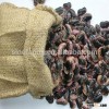 wholesale price for bean bulk large Black Speckled Kidney
