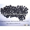ALIBABA USED EXCLUSIVELY Small Black Beans(GF3)