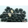 2011 crop black kidney beans in china(240-260)