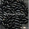 machine-selected black kidney beans,long shape