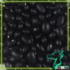 Color Selected Black Beans,Small Northern Black Beans Dried