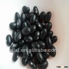 Black Kidney bean/black bean