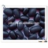 price for Black turtle Beans or Michgun Beans for sale,black kidney beans bulk sales