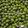 organic mung bean