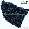 New Crop All Variety Beans With Best Quality