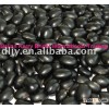 Organic Black Kidney Beans