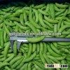 High quality HOT IQF frozen sugar snap peas