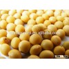 soybean non gmo cheap price