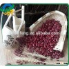 Organic Dark Red Kidney beans