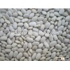 Good quality small white kidney beans from China for hot sale