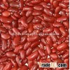 britain red kidney bean