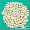 Large Black Speckled Kidney Beans,size 45-50pcs/100g,China origin