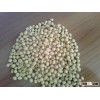 SoyBean