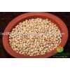 Organic White Soya bean