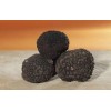 Grade A Quality Frozen Black Truffle