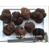 above 5cm fresh truffle