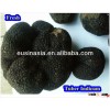 matured fresh black truffle tuber indicum for sale