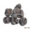 best price frozen truffle (Tuber indicum)