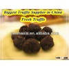 fresh truffle