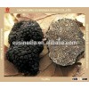 dried black truffle cubes, tuber indicum
