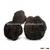 frozen truffle/dried black truffle sale price