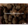organic fresh frozen tuber indicum truffle