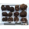 fresh truffle mushroom fresh winter Chinese truffle