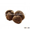 fresh black truffle, sell truffle