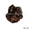 2015 new arrival fresh truffle, black truffle