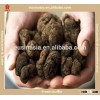 Wild Frozen Black Truffle Mushroom