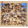hot sell dried tuber indicum slice