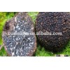 deep frozen truffle tuber indicum