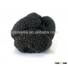 New products fresh frozen tuber indicum truffle