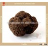 Tuber indicum/truffle with frozen dried fresh style