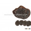 Truffles tartufi, Chinese truffle