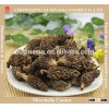 market prices for wild mushroom,morel mushroom price