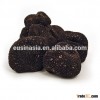 fresh truffle black truffle wild mushroom