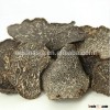 Chinese dried black mushroom truffle prices